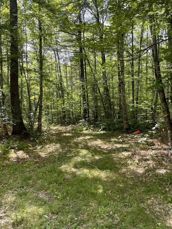 0 Harvey Stream Levant, ME 04456 - Photo 17 of 55 Pic 15 (Copy)