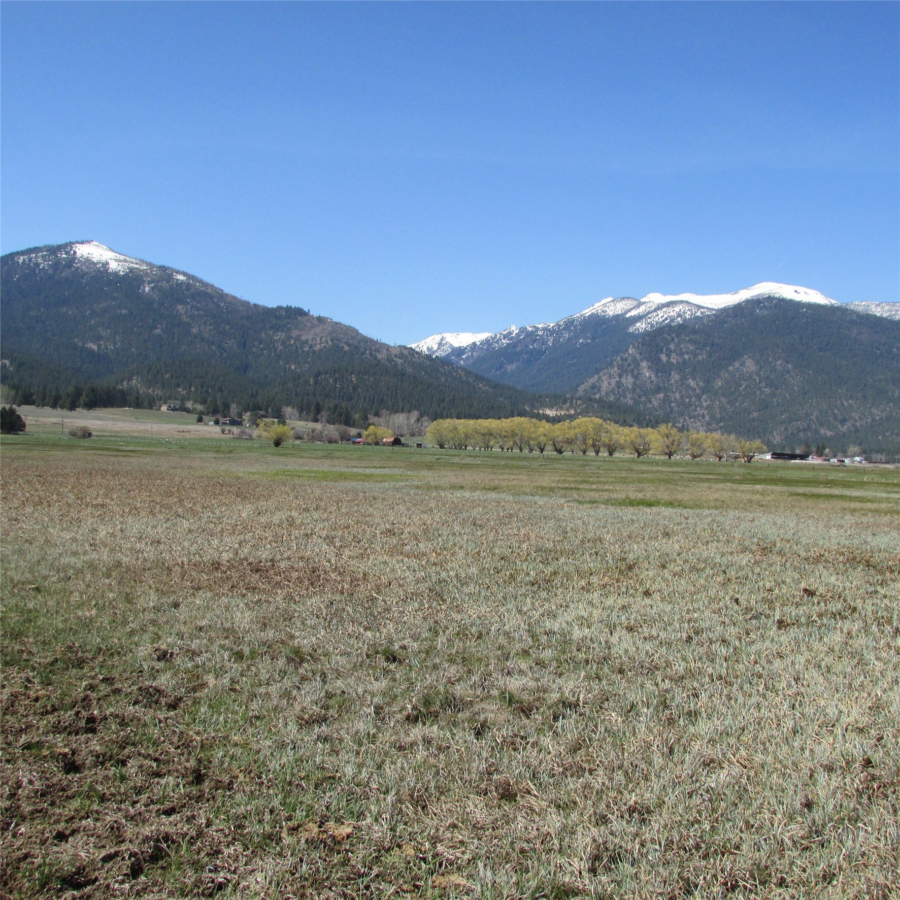 Nhn Meridian Road Victor, MT 59875 - Photo 1 of 24 Gallery Image 1