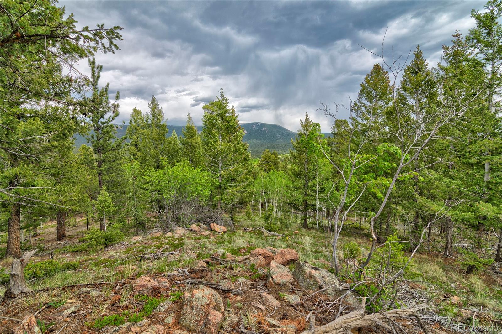 130 Summit Way Bailey, CO 80421 - Photo 21 of 25
