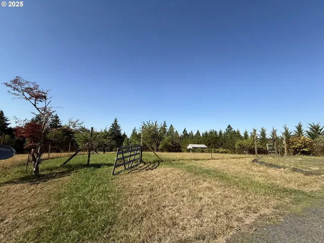 a view of a grassy area with an trees