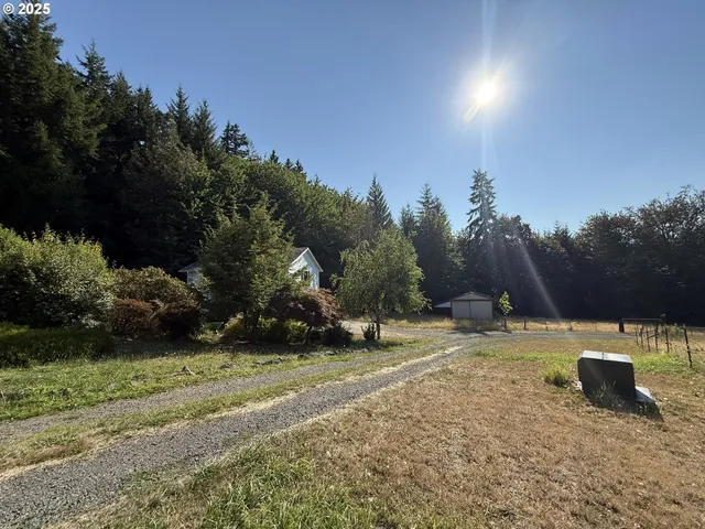 a view of a backyard with trees