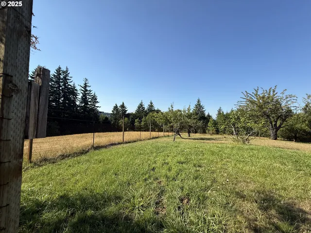 a view of an outdoor space and a yard