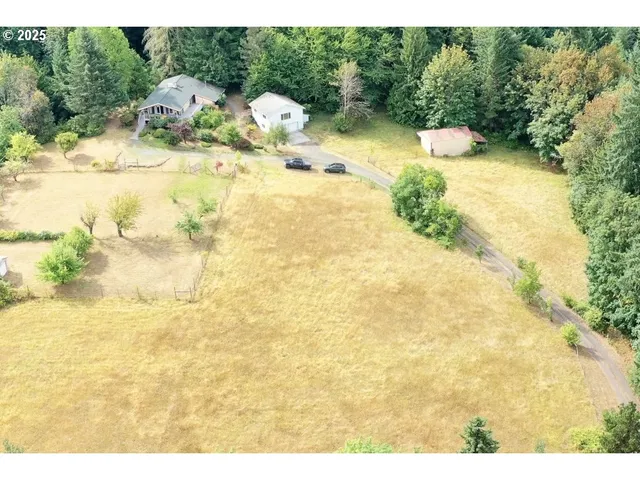 a view of a wooden floor and some trees in the background