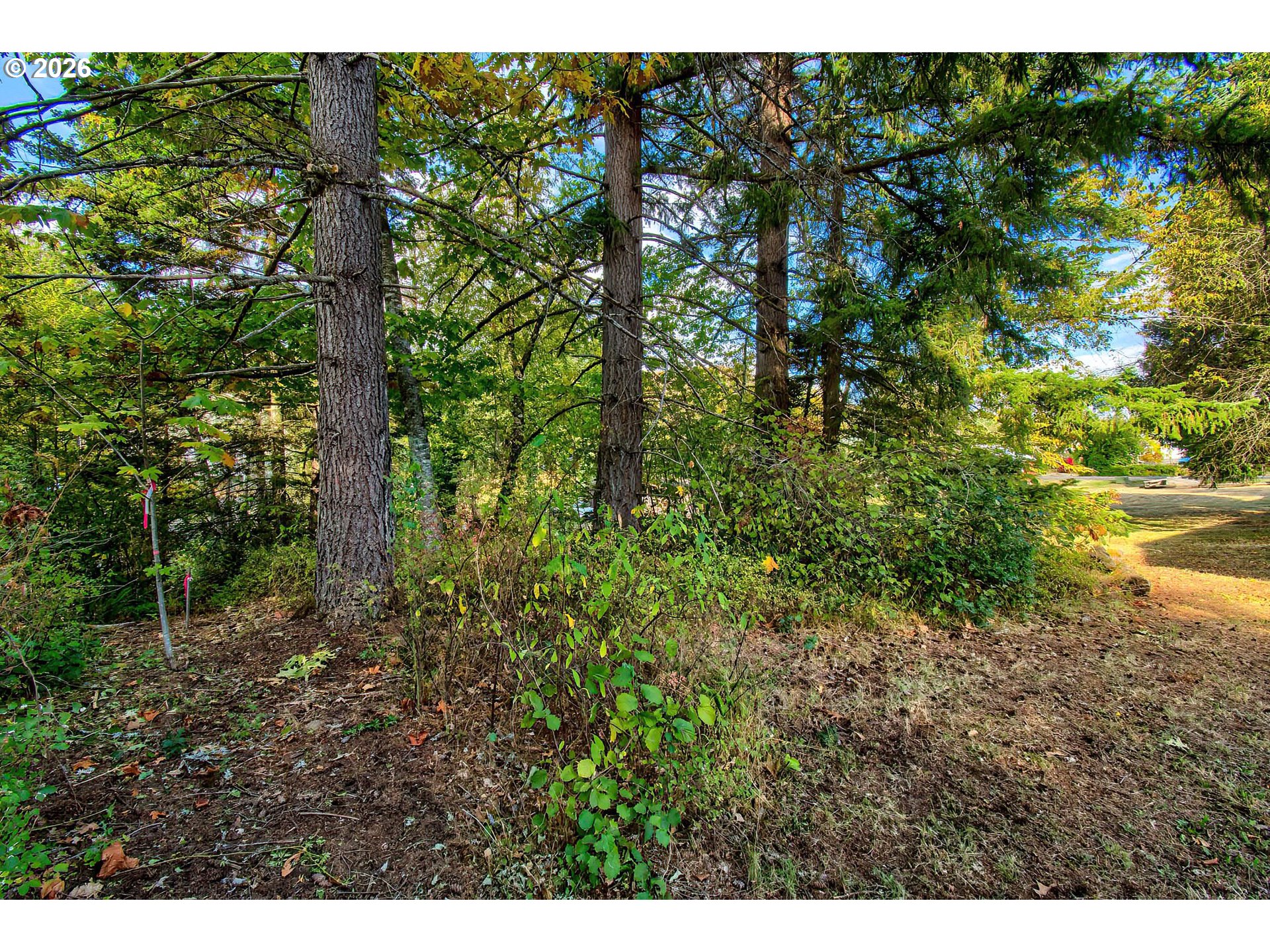 52 Fredrickson Avenue Carson, WA 98610 - Photo 11 of 18
