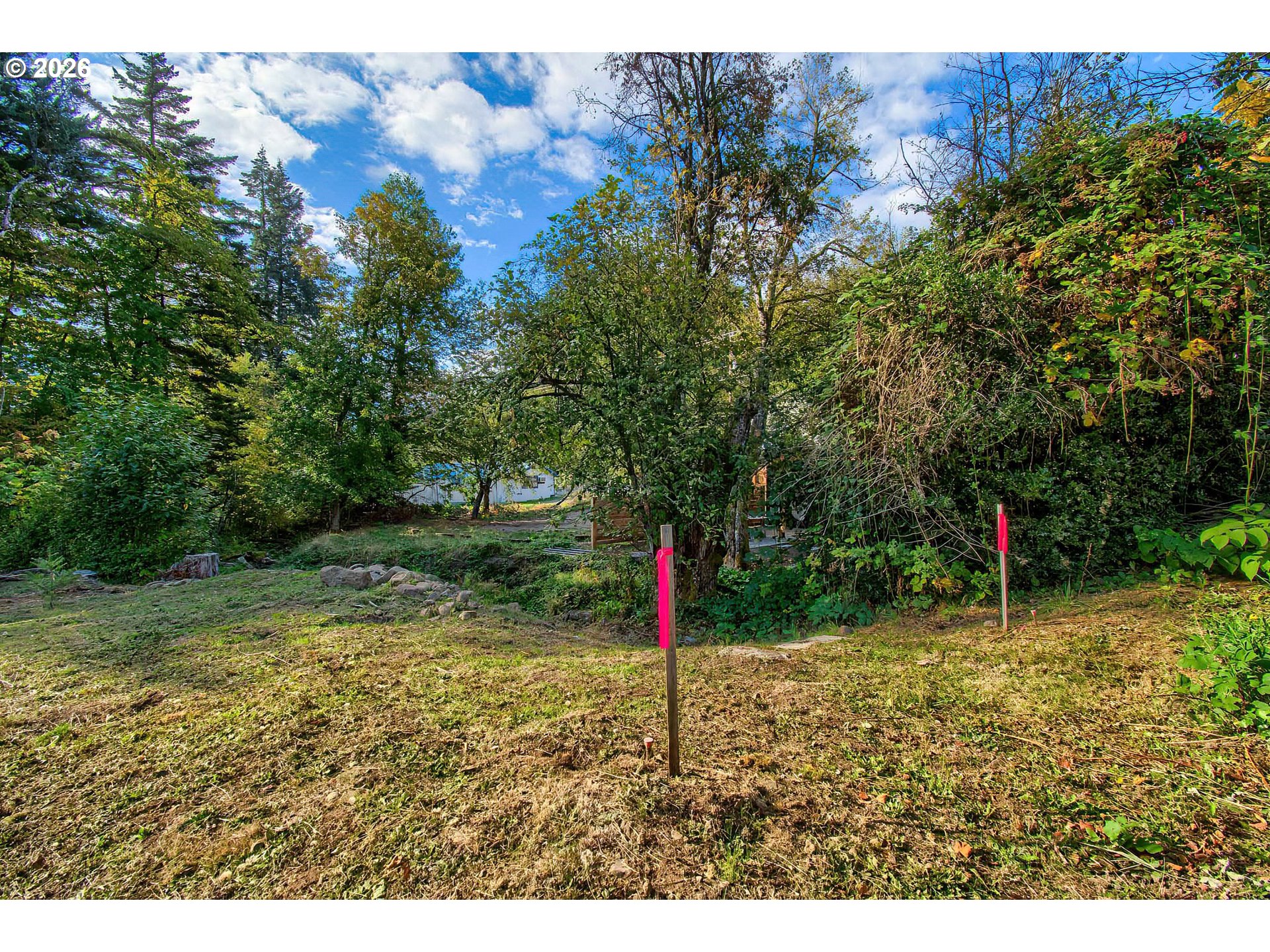 52 Fredrickson Avenue Carson, WA 98610 - Photo 12 of 18