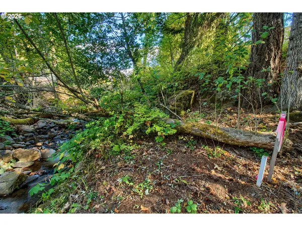$195,000 | 52 Fredrickson Avenue, Carson, WA 98610