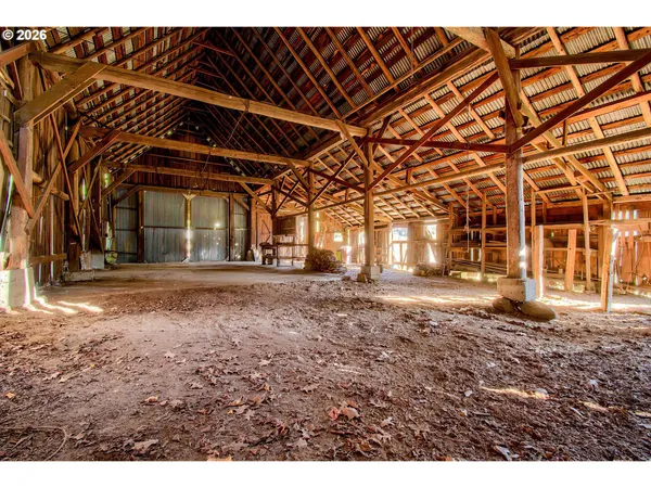 a view of a yard with palm tree