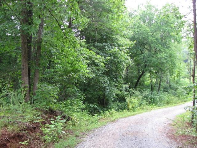 388 Brunner Road Sweetwater, TN 37874 - Photo 40 of 40 40-IMG_0083