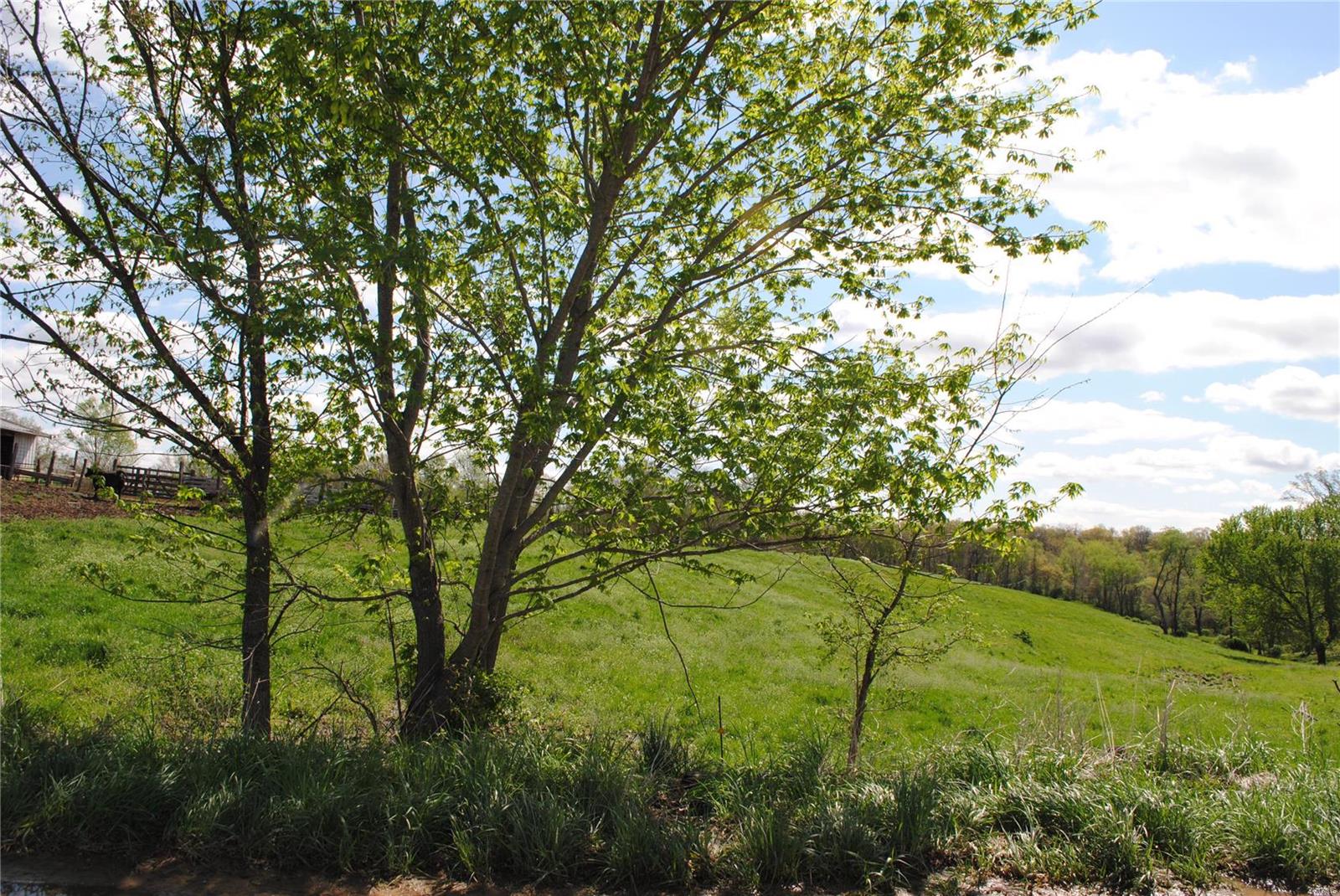 58 West County Line Road Brighton, IL 62012 - Photo 12 of 42