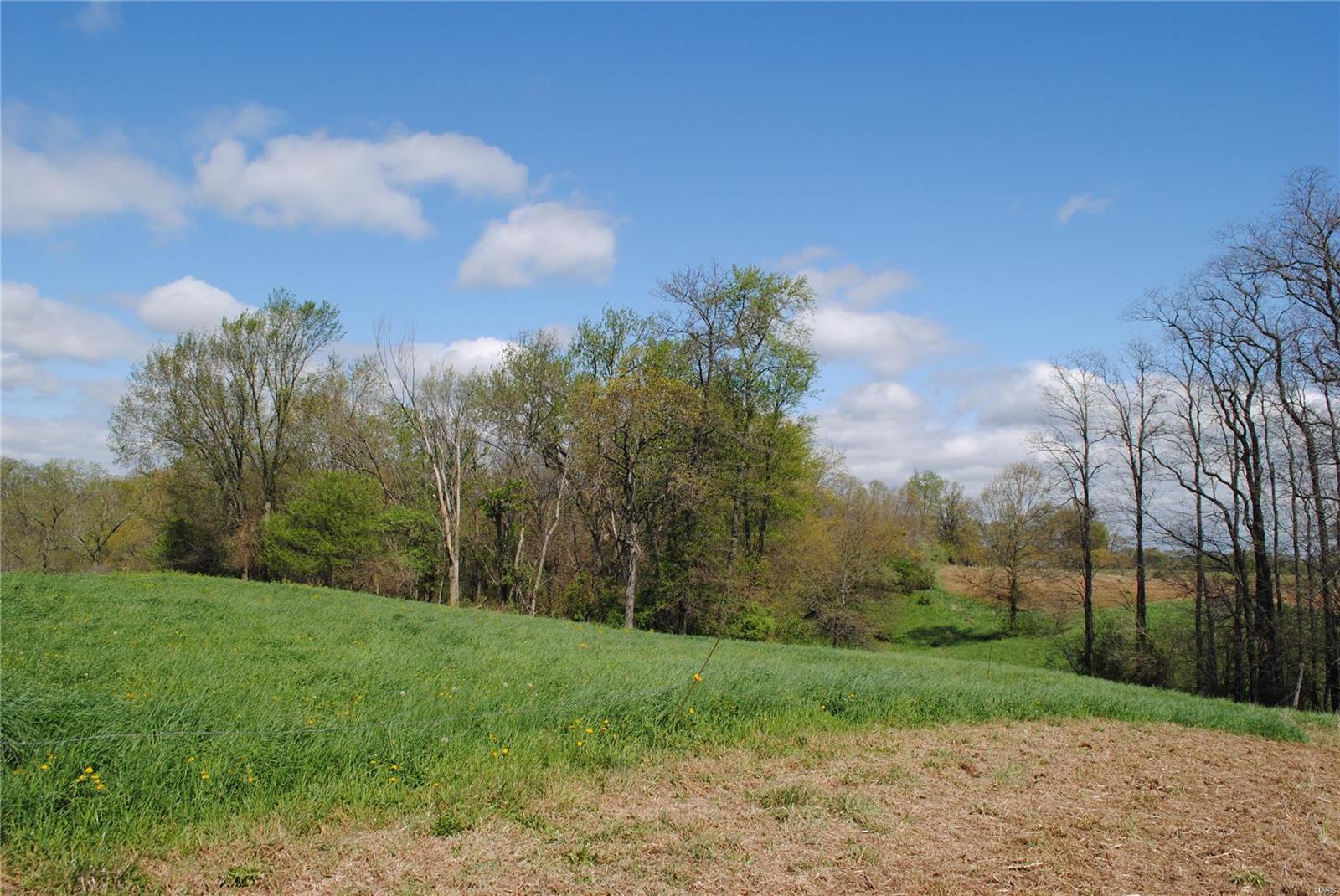58 West County Line Road Brighton, IL 62012 - Photo 13 of 42