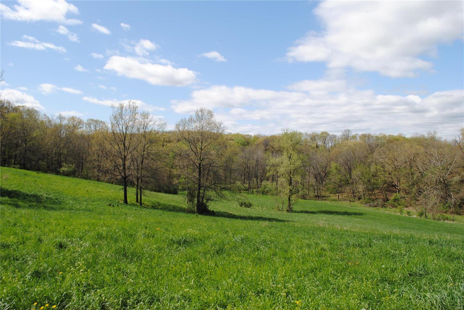 58 West County Line Road Brighton, IL 62012 - Photo 14 of 42