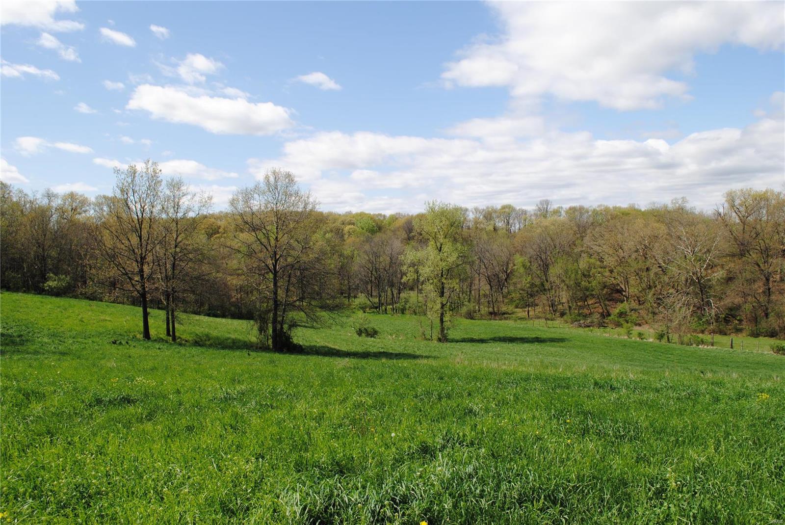 58 West County Line Road Brighton, IL 62012 - Photo 15 of 42