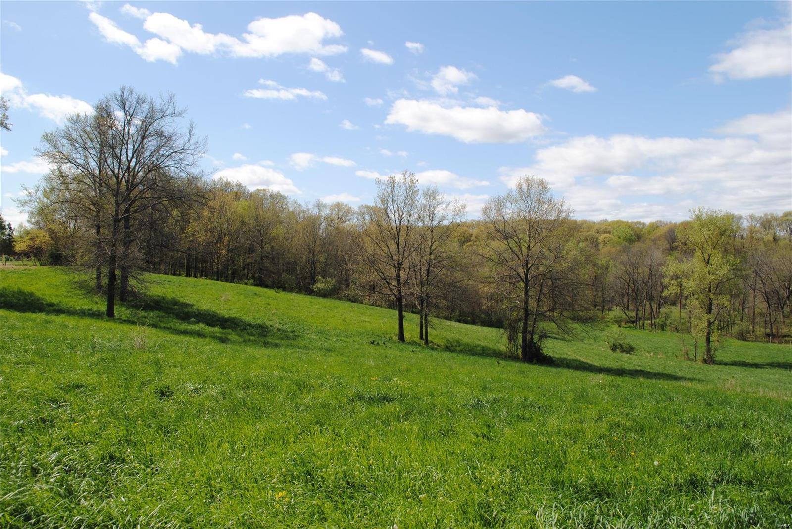 58 West County Line Road Brighton, IL 62012 - Photo 16 of 42