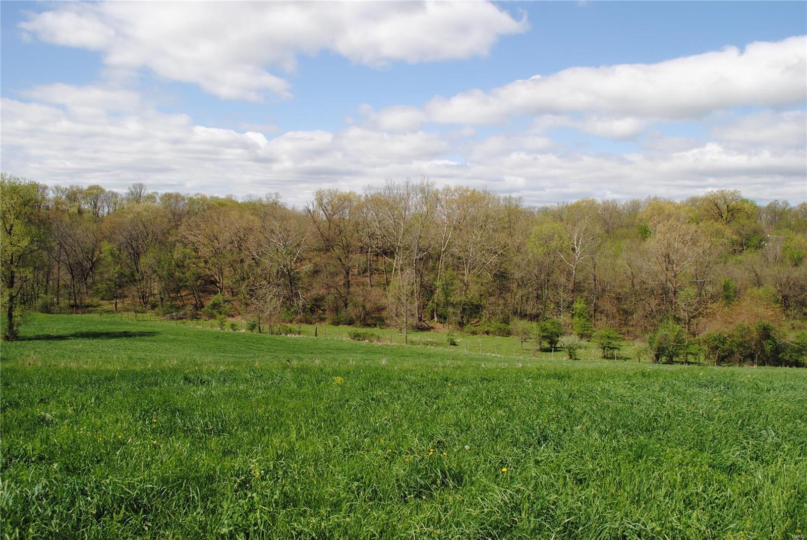 58 West County Line Road Brighton, IL 62012 - Photo 17 of 42