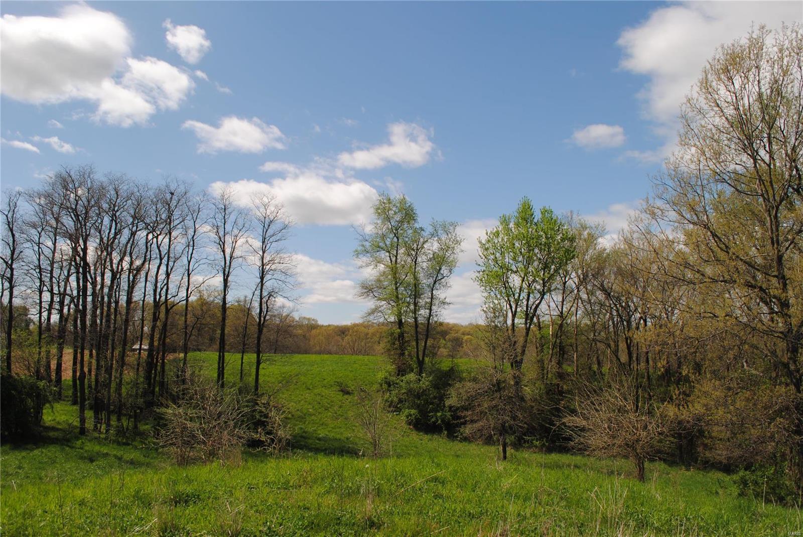 58 West County Line Road Brighton, IL 62012 - Photo 18 of 42