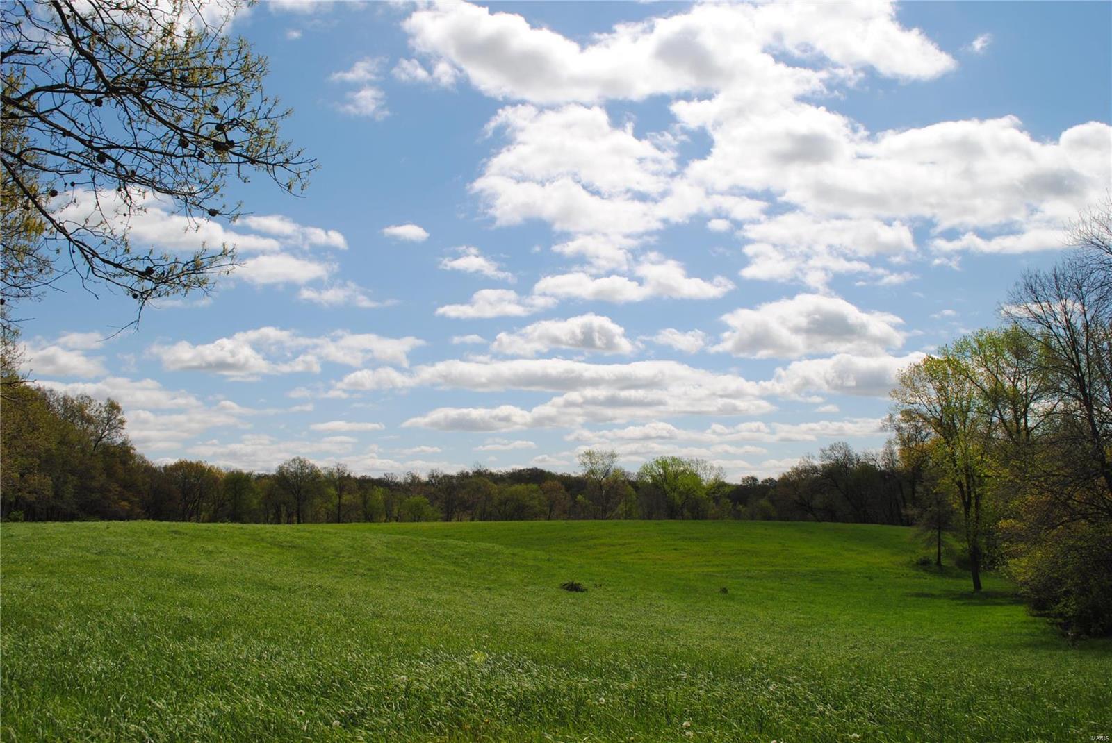 58 West County Line Road Brighton, IL 62012 - Photo 20 of 42