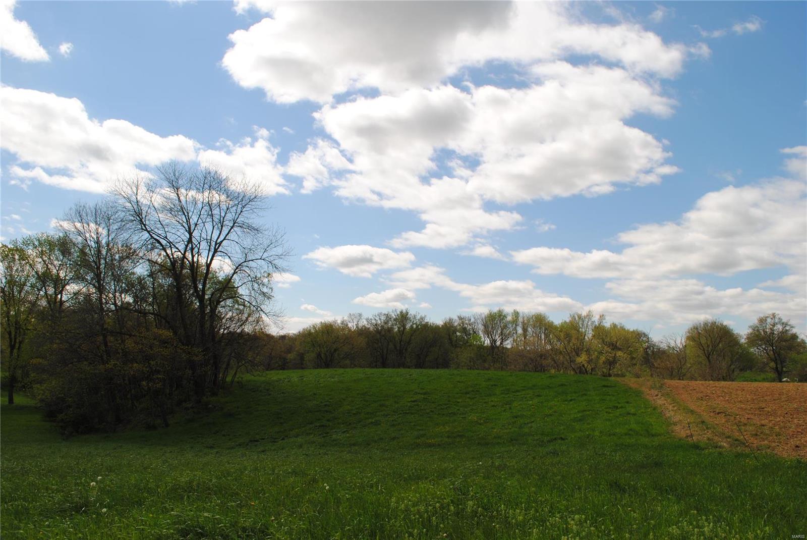 58 West County Line Road Brighton, IL 62012 - Photo 21 of 42