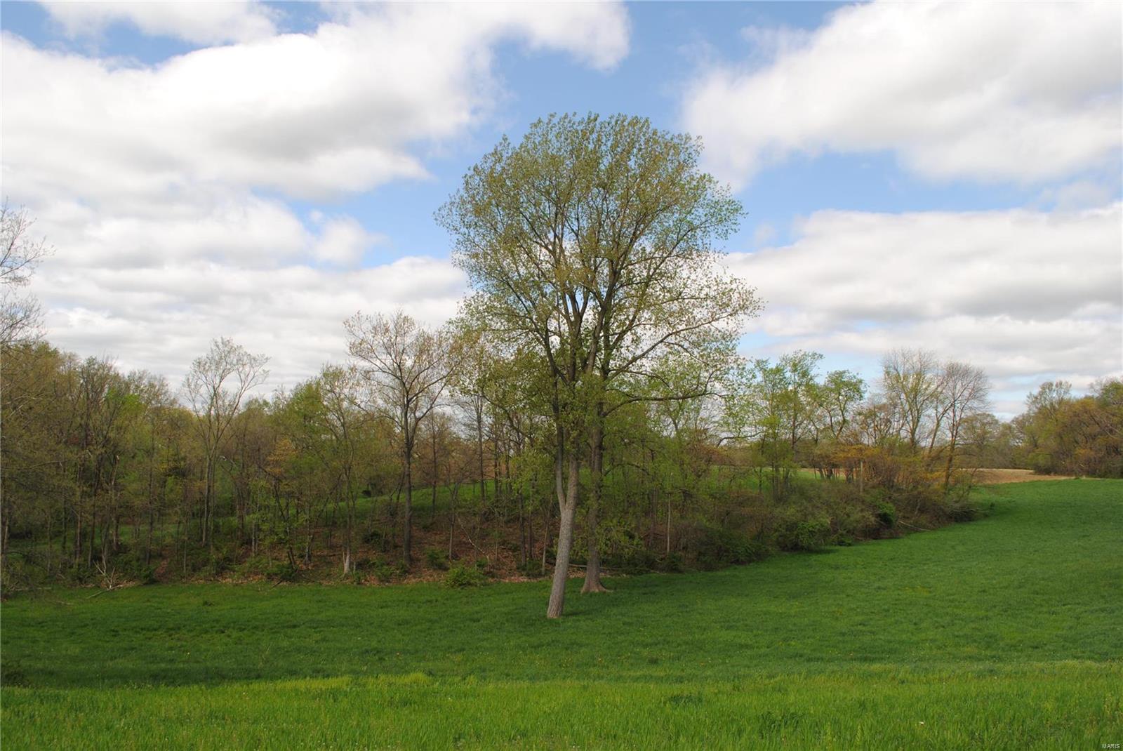 58 West County Line Road Brighton, IL 62012 - Photo 23 of 42