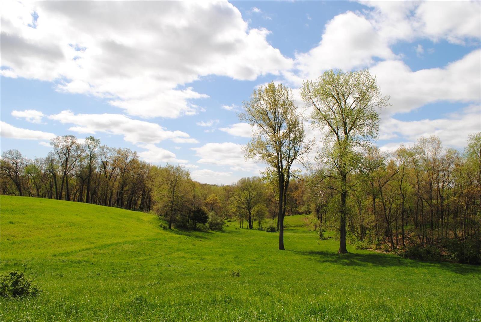 58 West County Line Road Brighton, IL 62012 - Photo 24 of 42