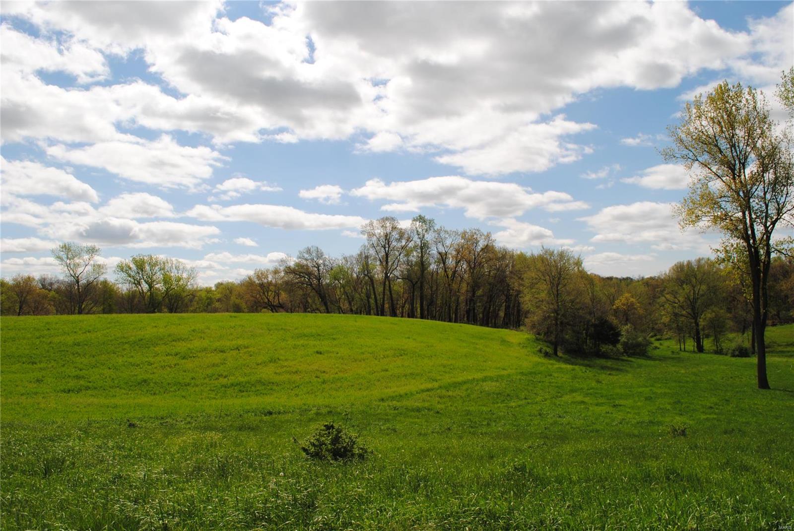58 West County Line Road Brighton, IL 62012 - Photo 25 of 42
