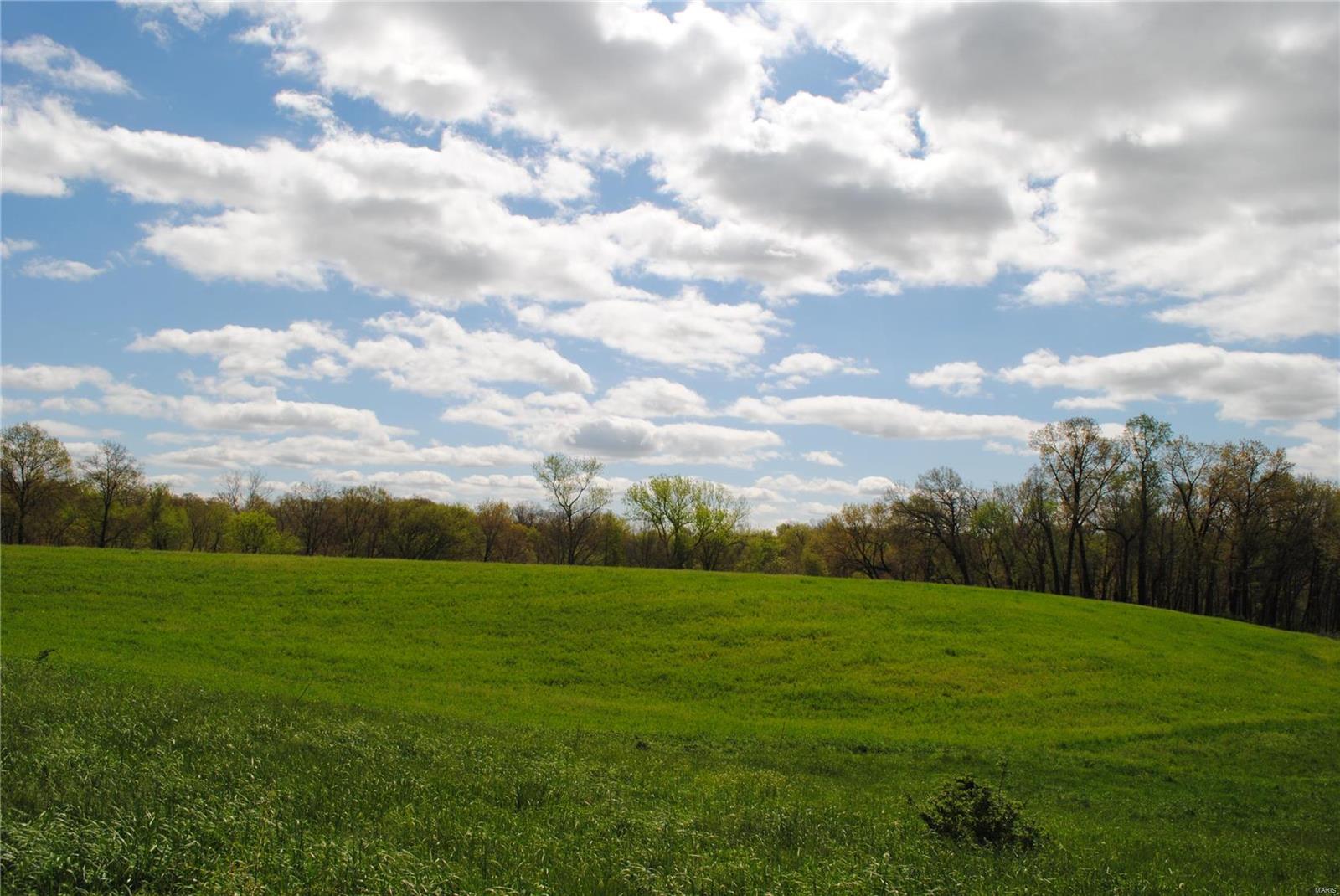 58 West County Line Road Brighton, IL 62012 - Photo 26 of 42
