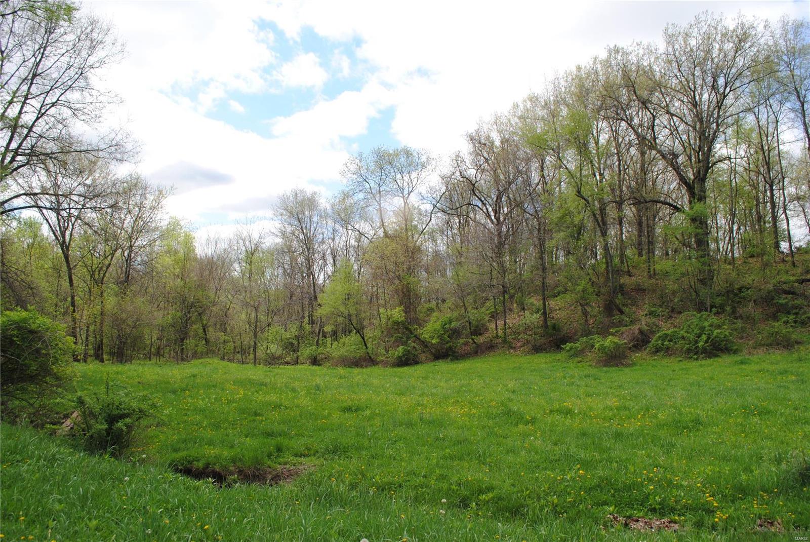 58 West County Line Road Brighton, IL 62012 - Photo 27 of 42