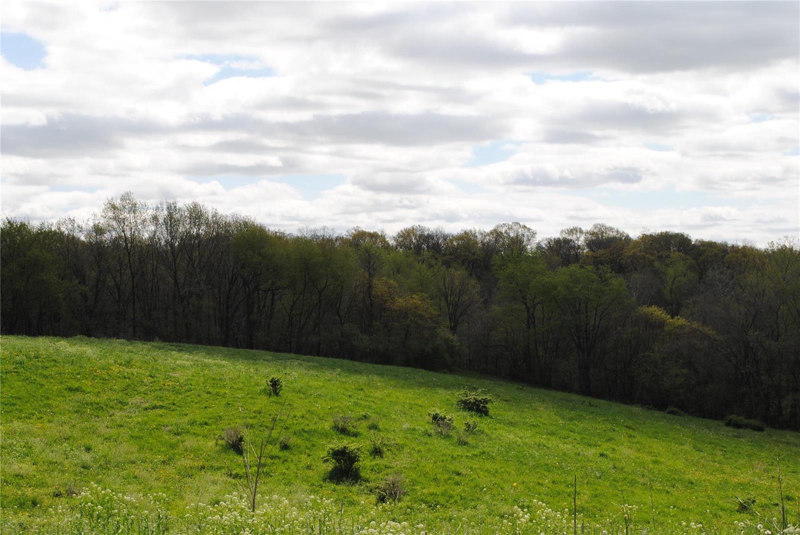 58 West County Line Road Brighton, IL 62012 - Photo 28 of 42