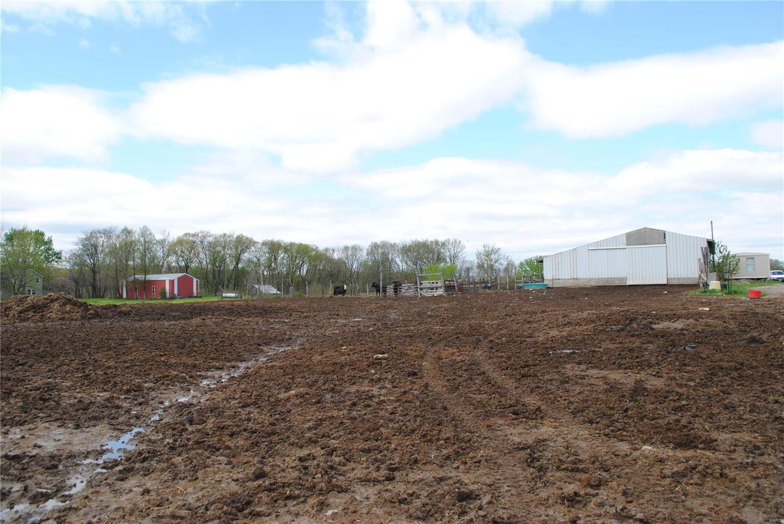 58 West County Line Road Brighton, IL 62012 - Photo 29 of 42