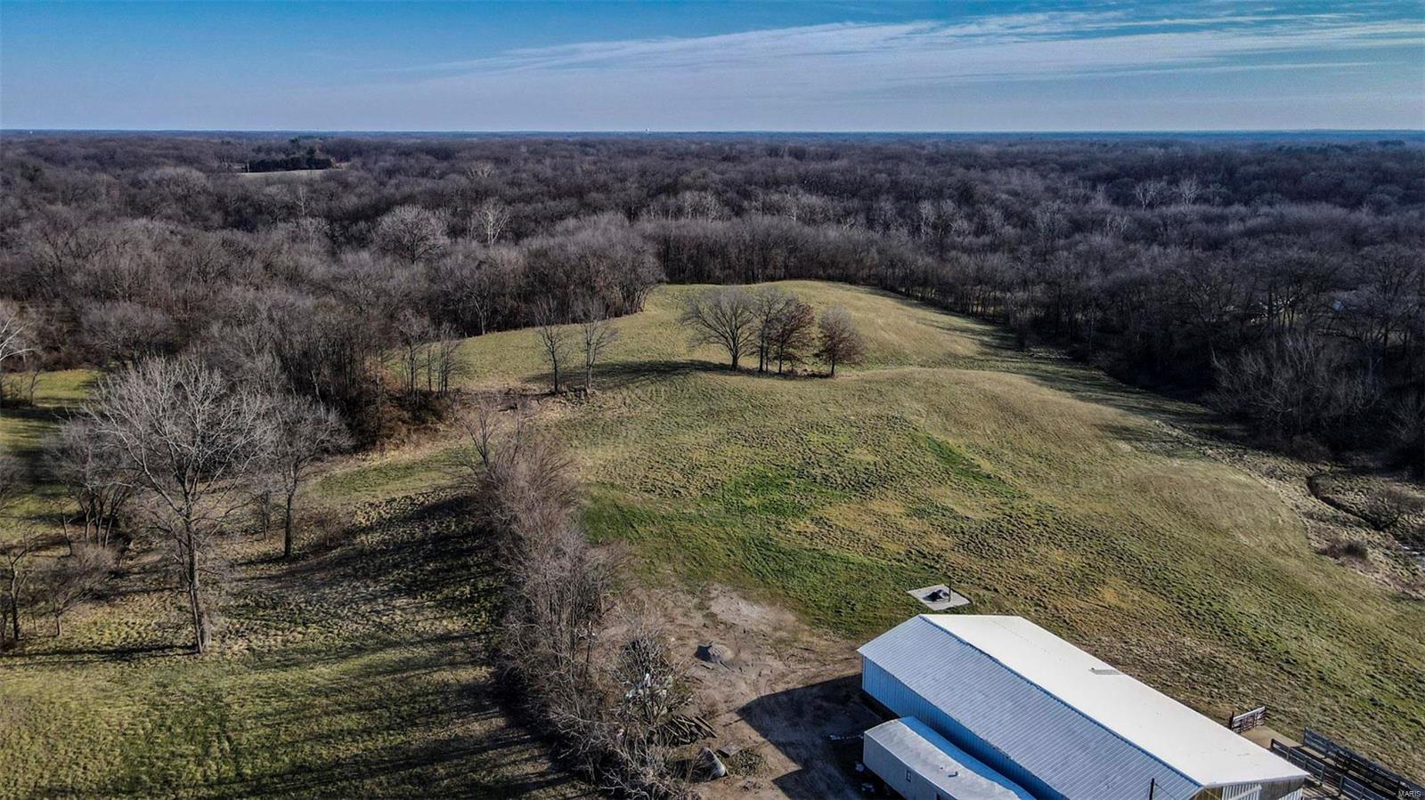 58 West County Line Road Brighton, IL 62012 - Photo 10 of 42