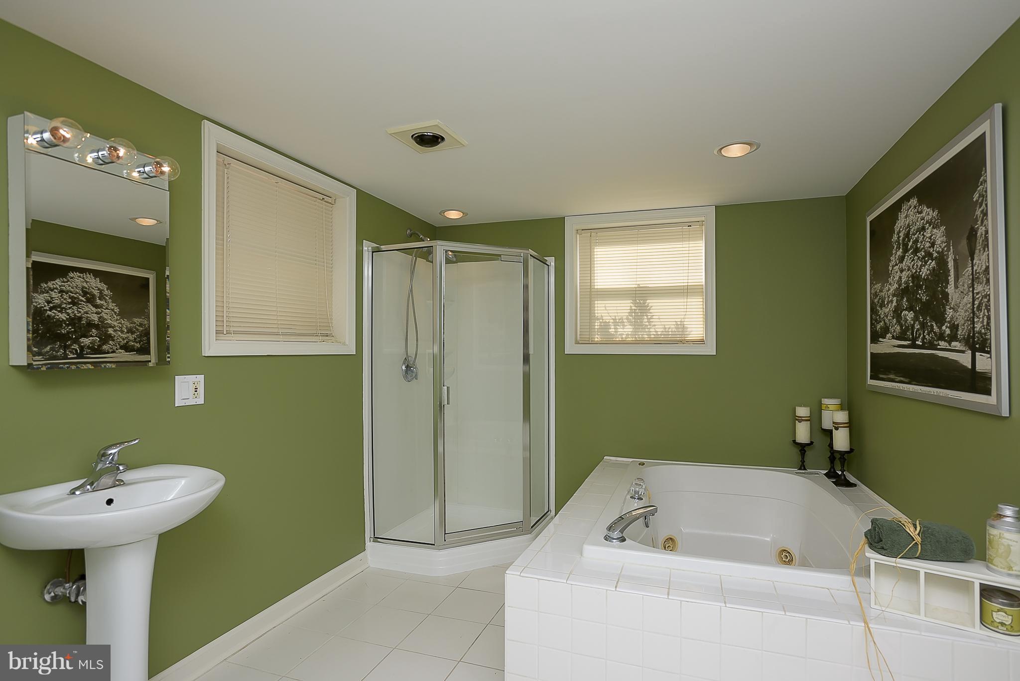 243 Ullman Road Pasadena, MD 21122 - Photo 22 of 30 Ensuite bath