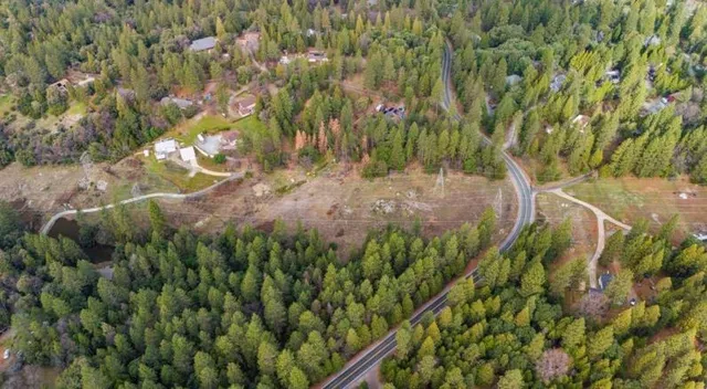 a view of a yard with plants and a bench