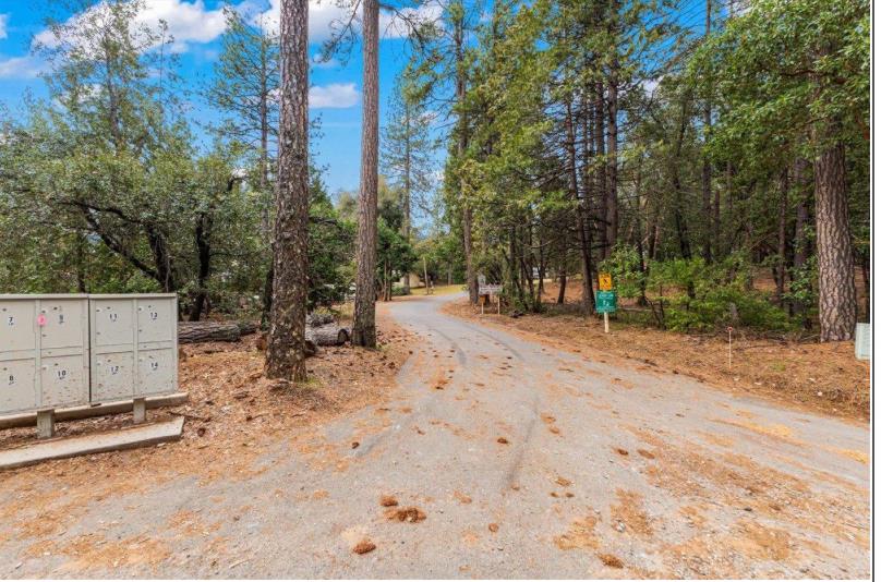 0 Red Corral Road Pioneer, CA 95666 - Photo 13 of 16