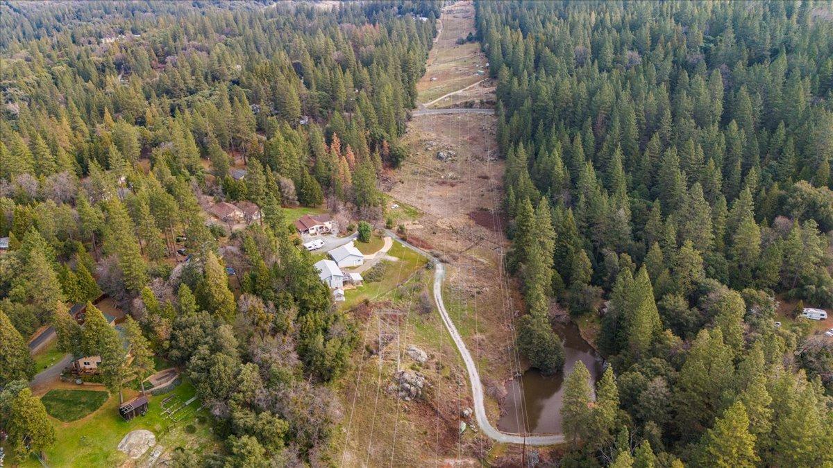 0 Red Corral Road Pioneer, CA 95666 - Photo 26 of 35 a view of a yard