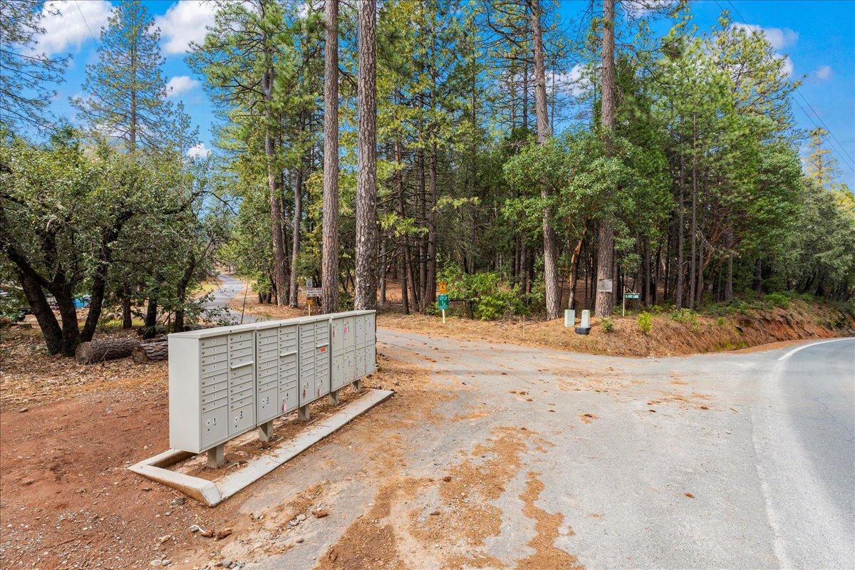 0 Red Corral Road Pioneer, CA 95666 - Photo 32 of 35 a view of a backyard with trees