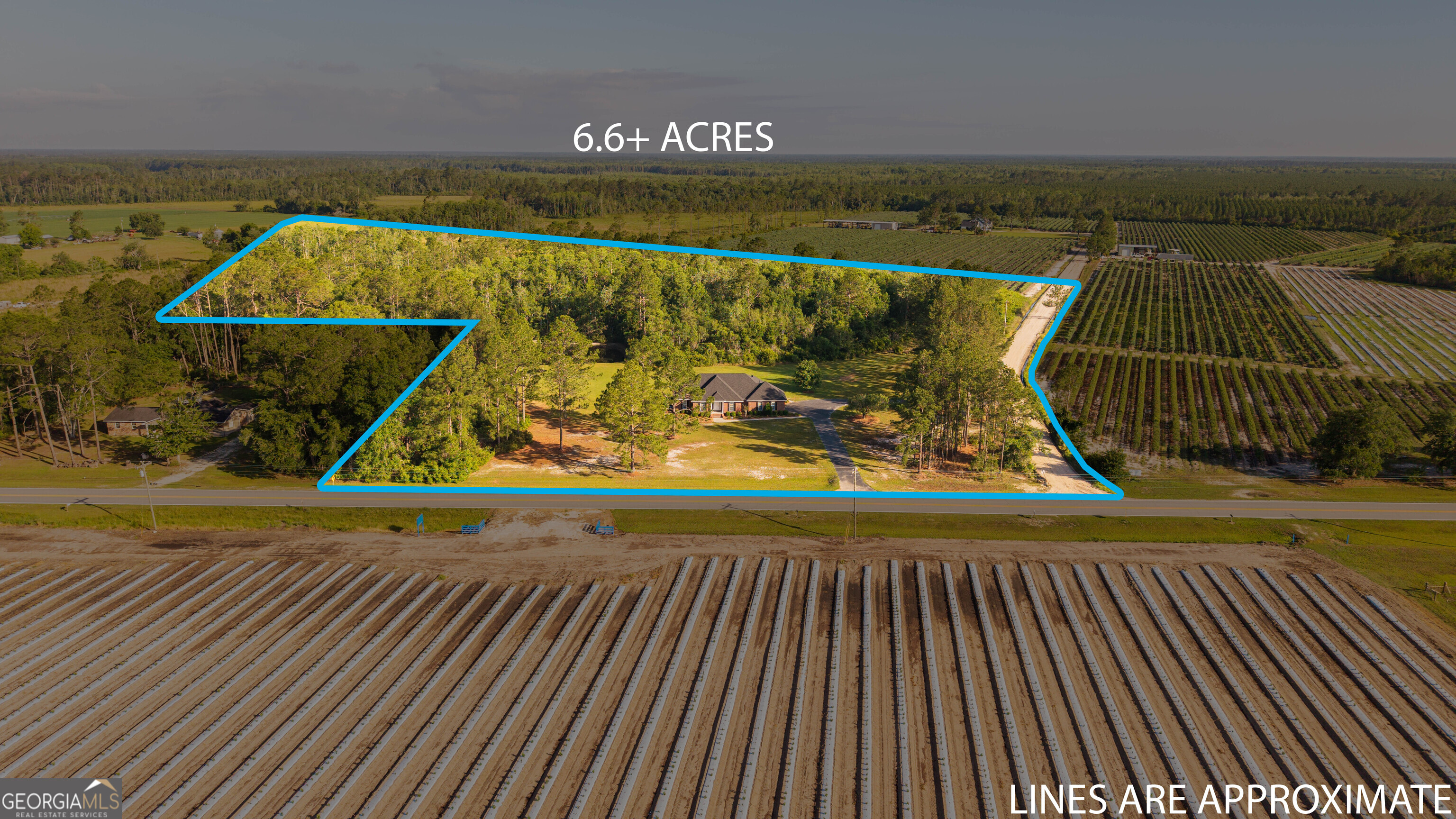3907 Shiloh Highway Homerville, GA 31634 - Photo 2 of 59