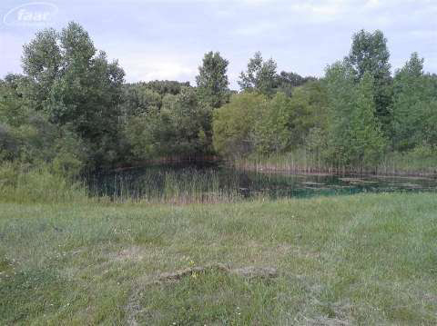 12119 Hogan Road Gaines, MI 48436 - Photo 16 of 47 20427279-15.JPG