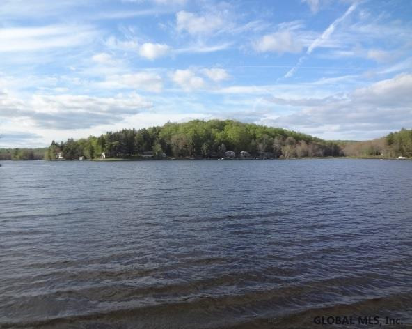 777 Lake Desolation Road Providence, NY 12850 - Photo 15 of 19 Photo 15