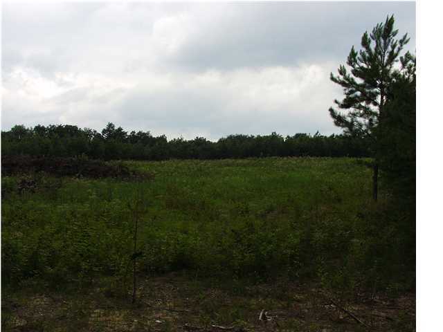 6 Jim Stewart Road Dunlap, TN 37327 - Photo 1 of 2 Primary Photo