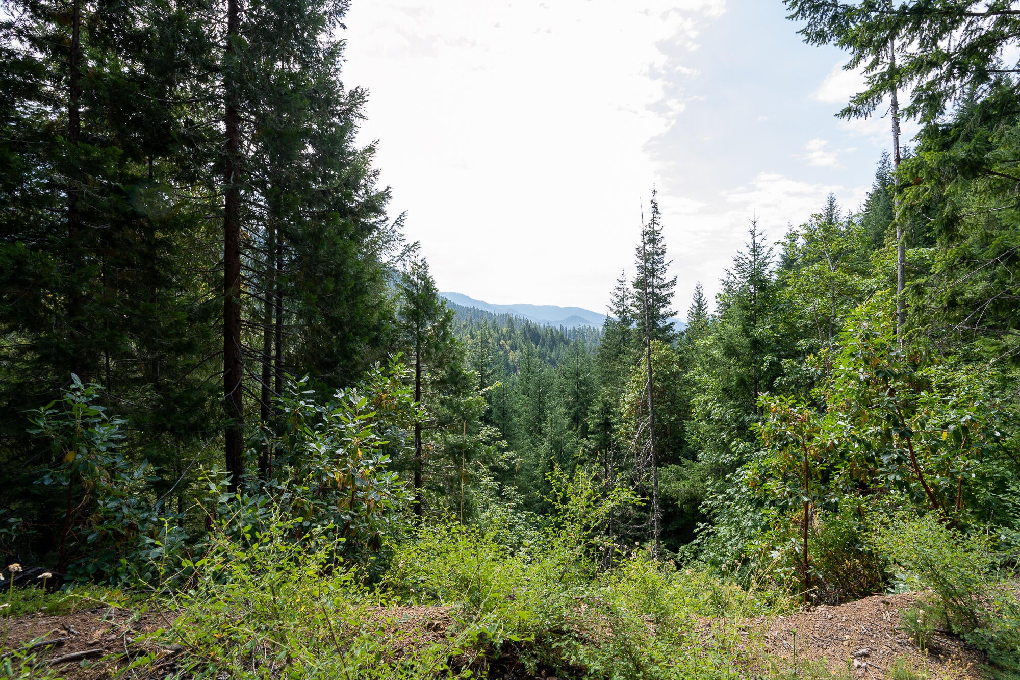 14083 Elk Creek Road Trail, OR 97541 - Photo 9 of 21 Pic 10