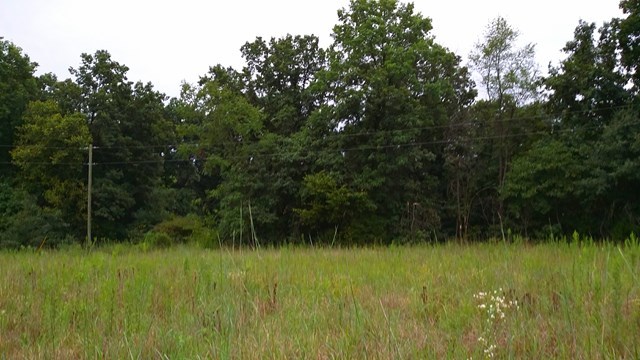 166 County Road Auxvasse, MO 65231 - Photo 17 of 27
