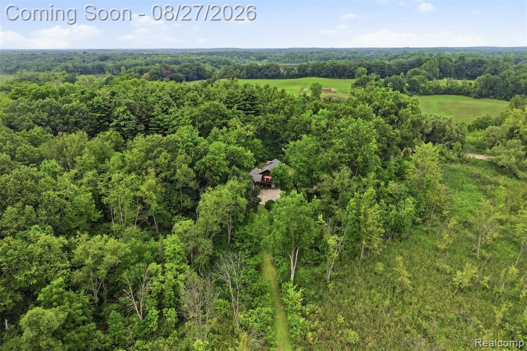 9317 East Lovejoy Road Linden, MI 48451 - Photo 57 of 62 Gallery Image 57