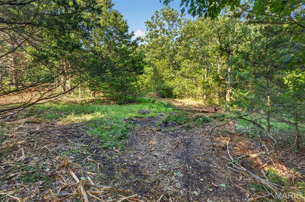 5 Cantrell Road Mansfield, MO 65704 - Photo 5 of 16