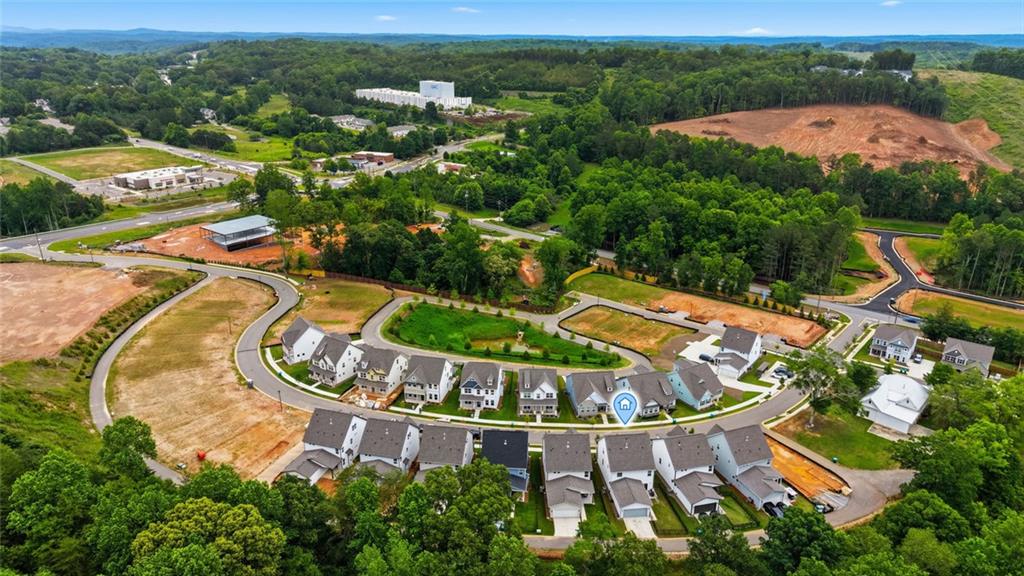 127 Marble Tree Way Ball Ground, GA 30107 - Photo 47 of 50