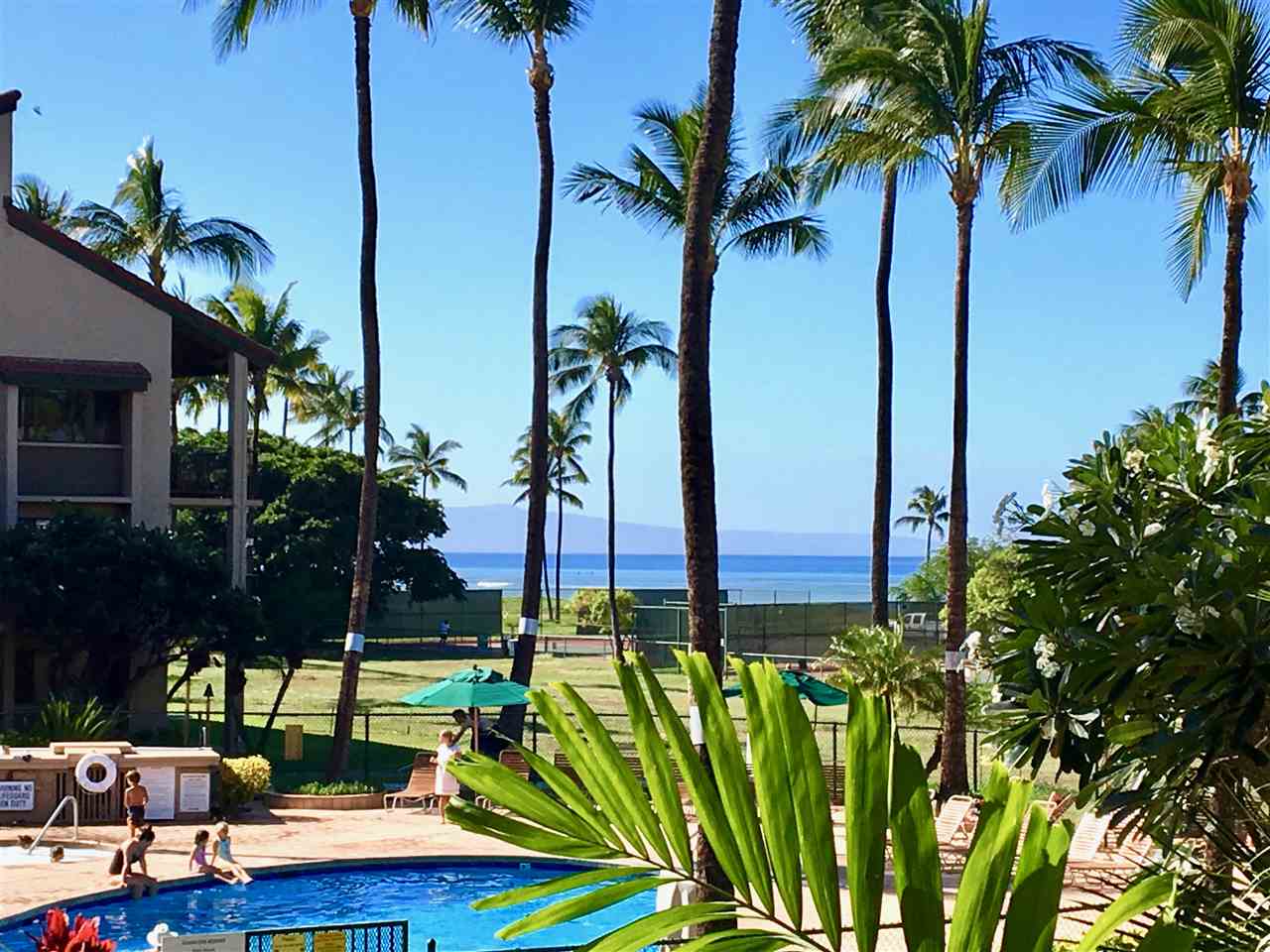 940 South Kihei Road, Unit B212 Kihei, HI 96753 - Photo 1 of 22 a view of a palm plant that is in front of house