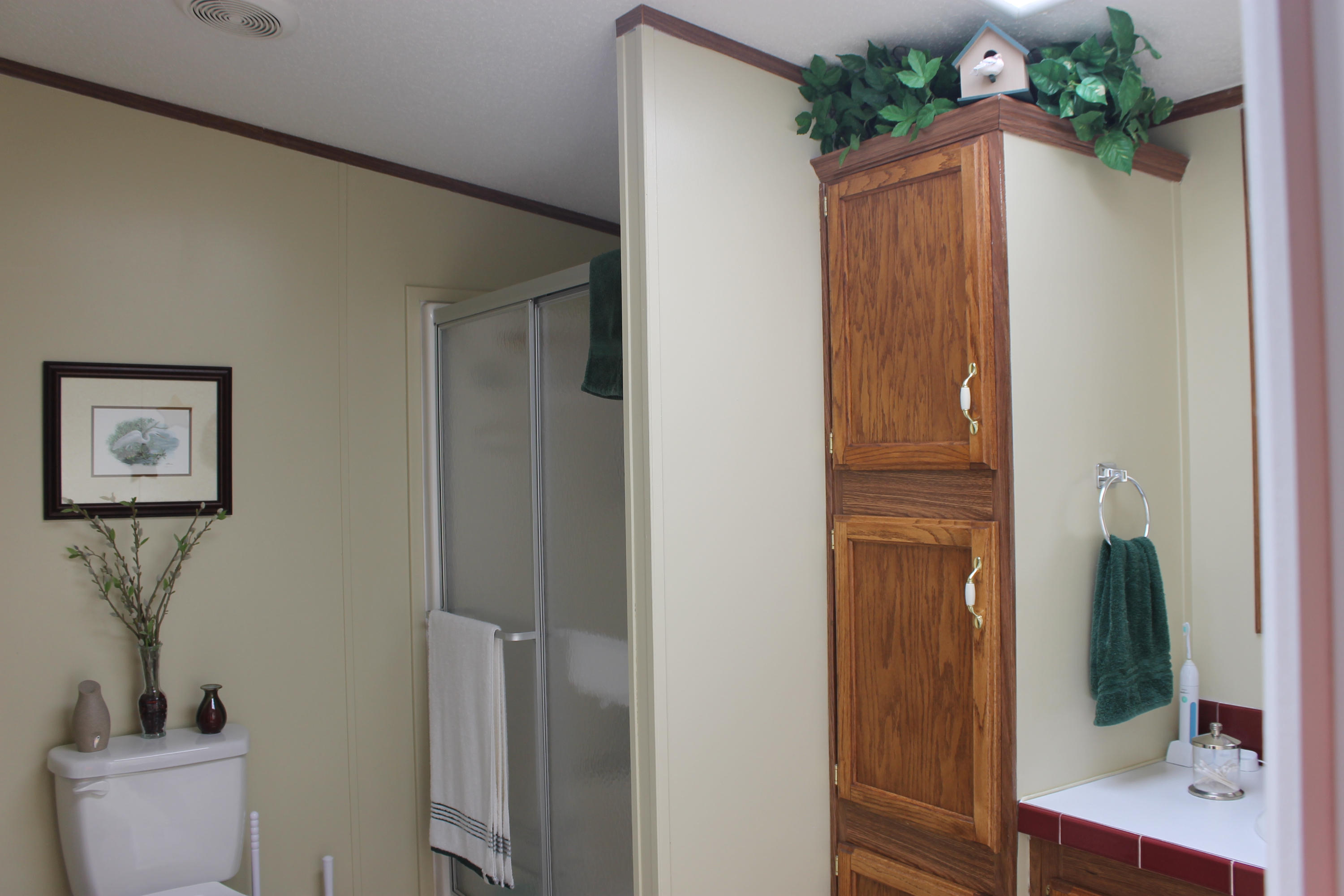 562 Old Stage Road Dandridge, TN 37725 - Photo 18 of 33 Master Bath