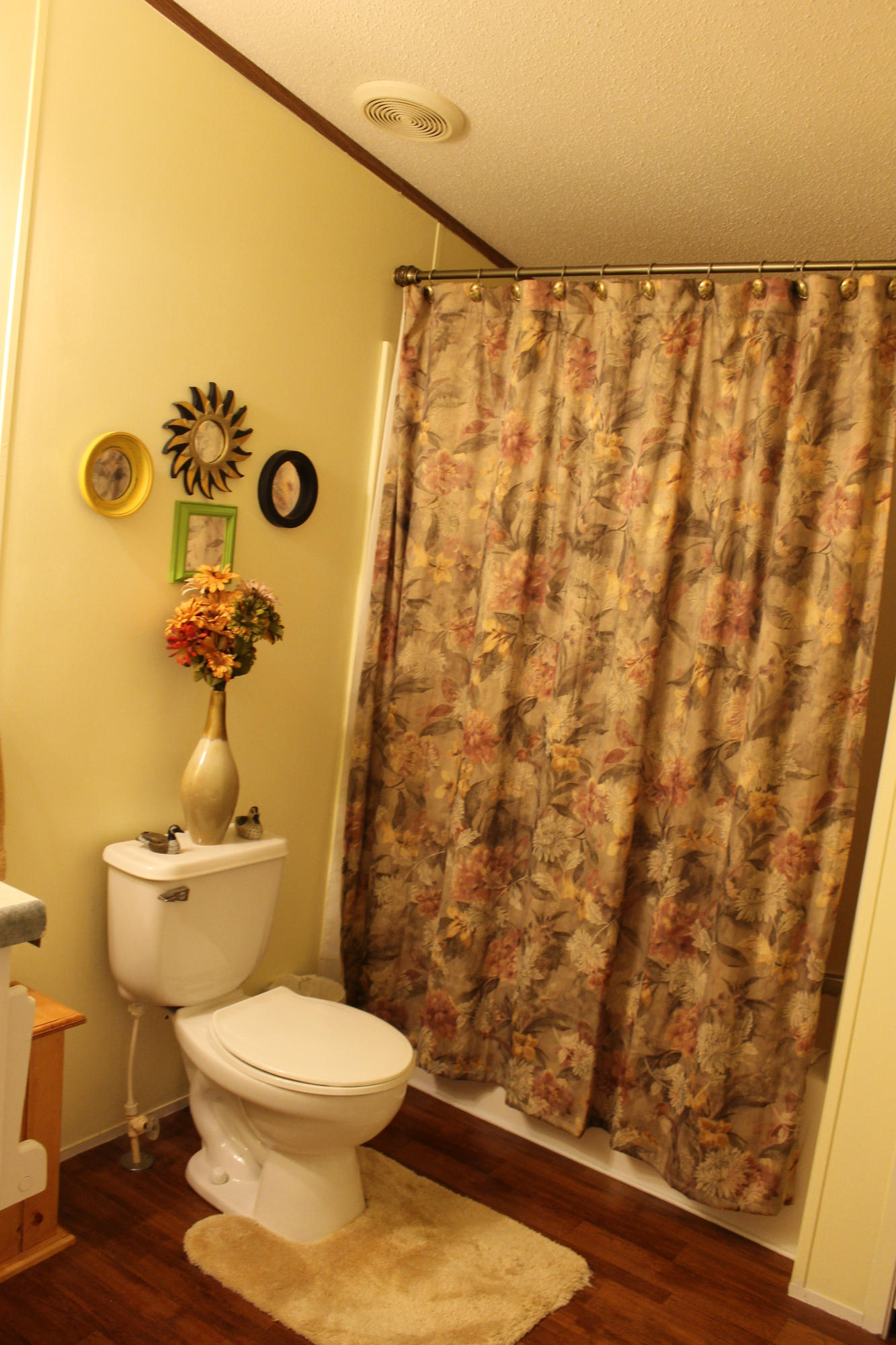 562 Old Stage Road Dandridge, TN 37725 - Photo 21 of 33 Hall Bath