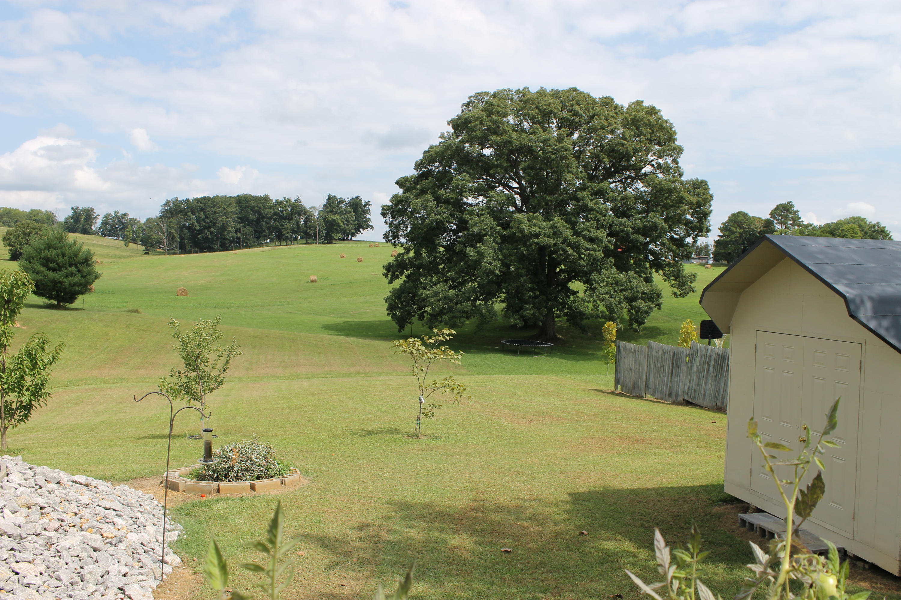 562 Old Stage Road Dandridge, TN 37725 - Photo 29 of 33 IMG_2132