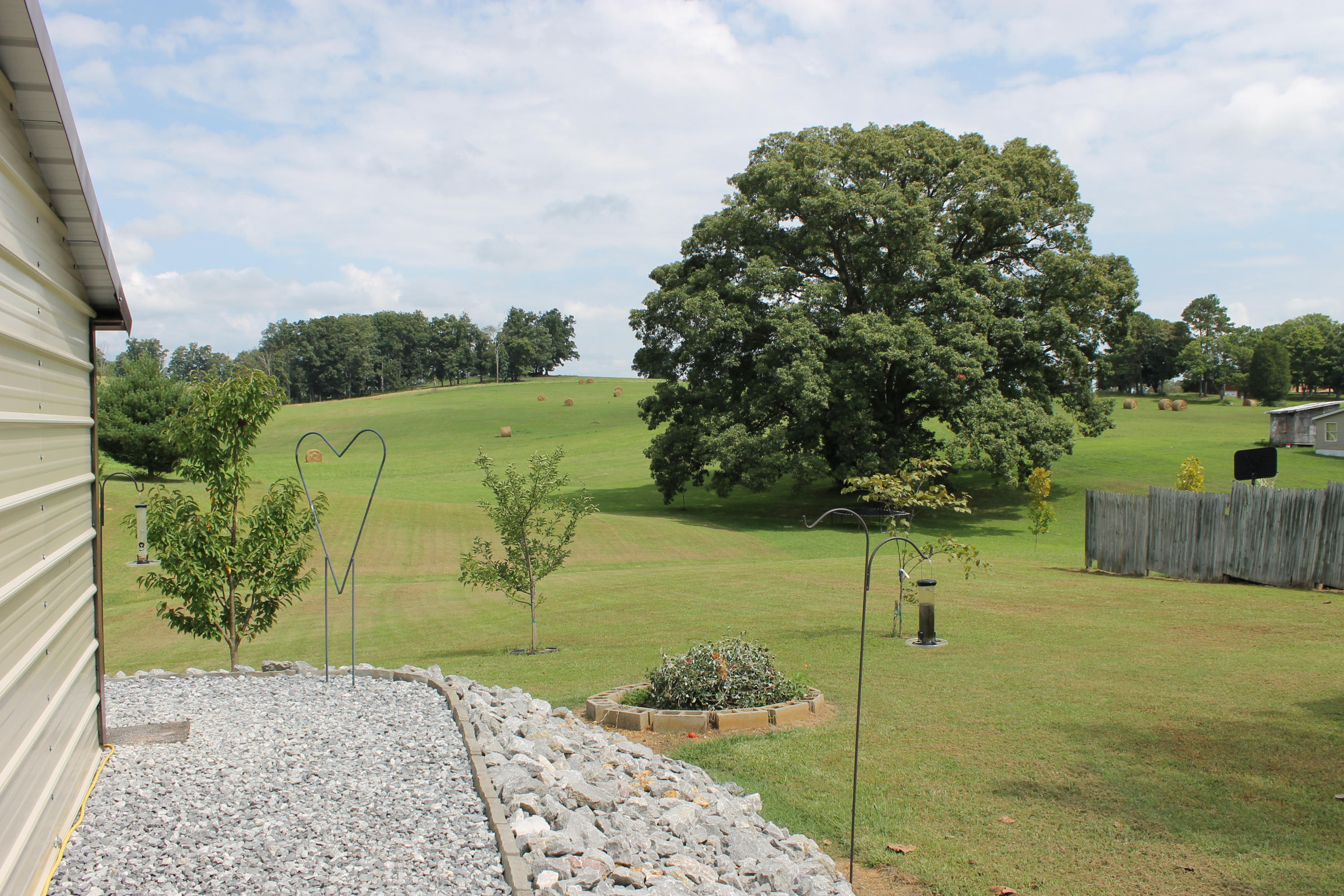 562 Old Stage Road Dandridge, TN 37725 - Photo 4 of 33 IMG_2140
