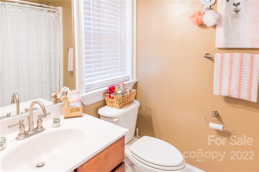 137 Birtwick Road Rockwell, NC 28138 - Photo 21 of 42 a bathroom with a sink a toilet and a mirror