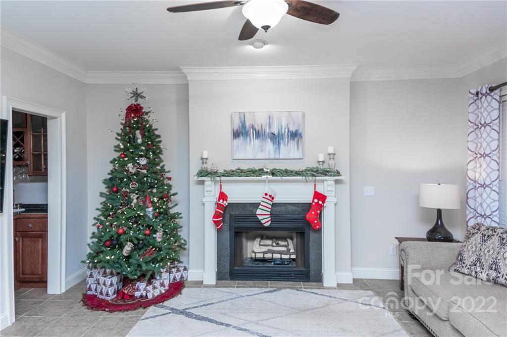 137 Birtwick Road Rockwell, NC 28138 - Photo 35 of 42 a living room with furniture and a potted plant